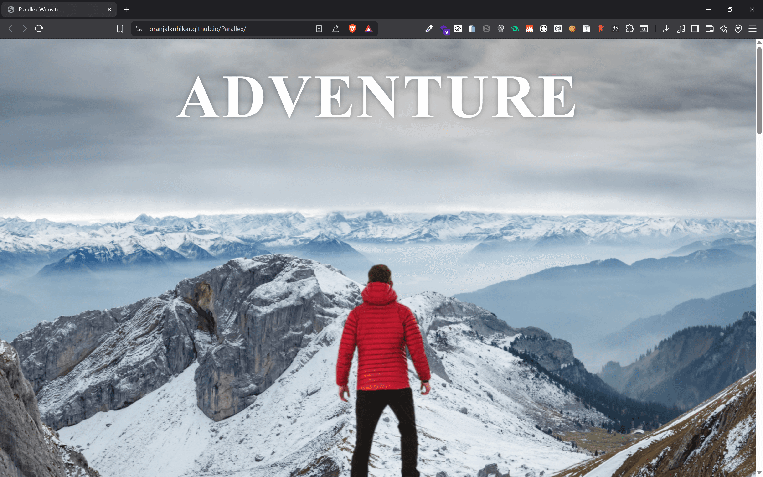 Parallex Website